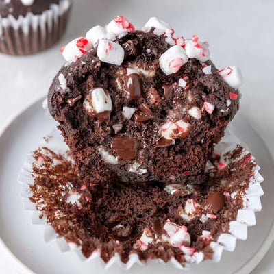 Moist Peppermint Hot Chocolate Muffins sprinkled with crushed peppermint, marshmallow garnish.